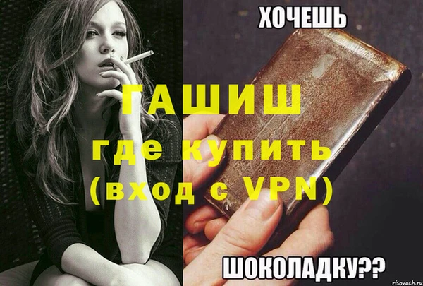 гидра Ельня