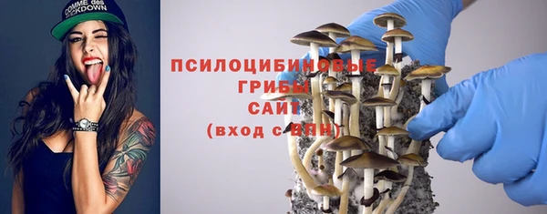 гидра Ельня