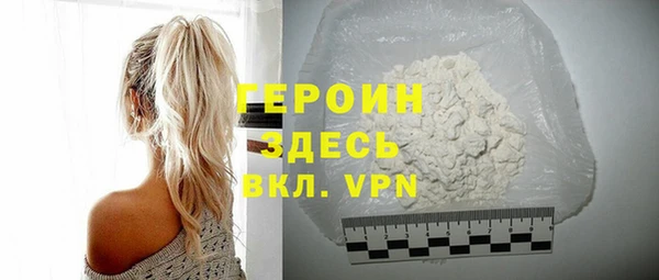 гидра Ельня