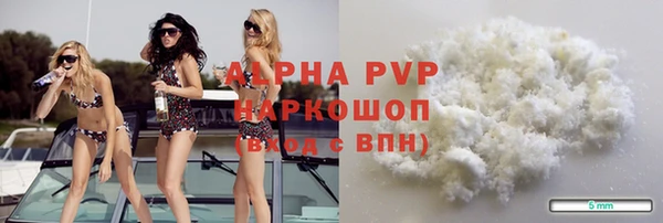 гидра Ельня