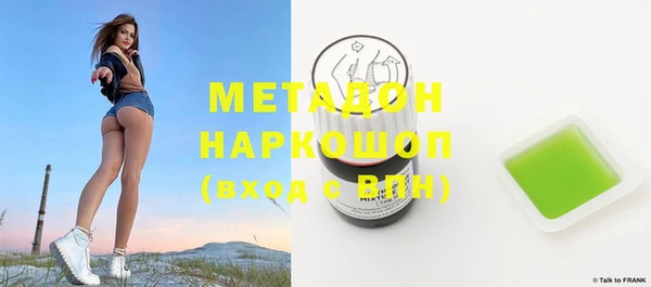 гидра Ельня