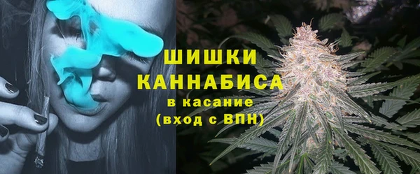гидра Ельня