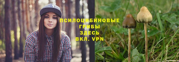 мескалин Елизово