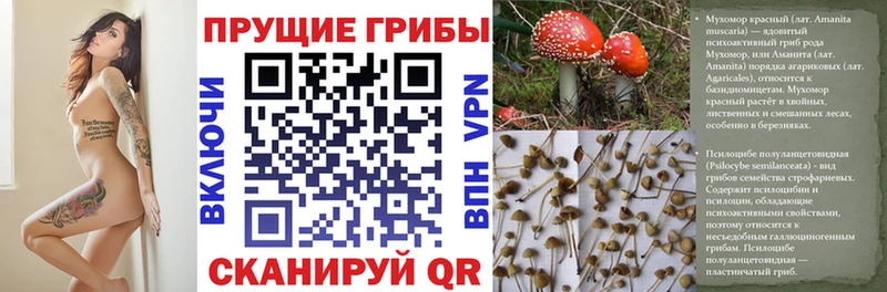 Псилоцибиновые грибы ЛСД  Купить  Короча 